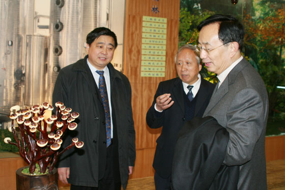 金年会