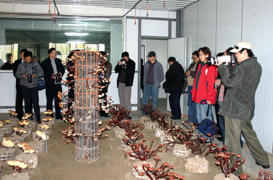 金年会
